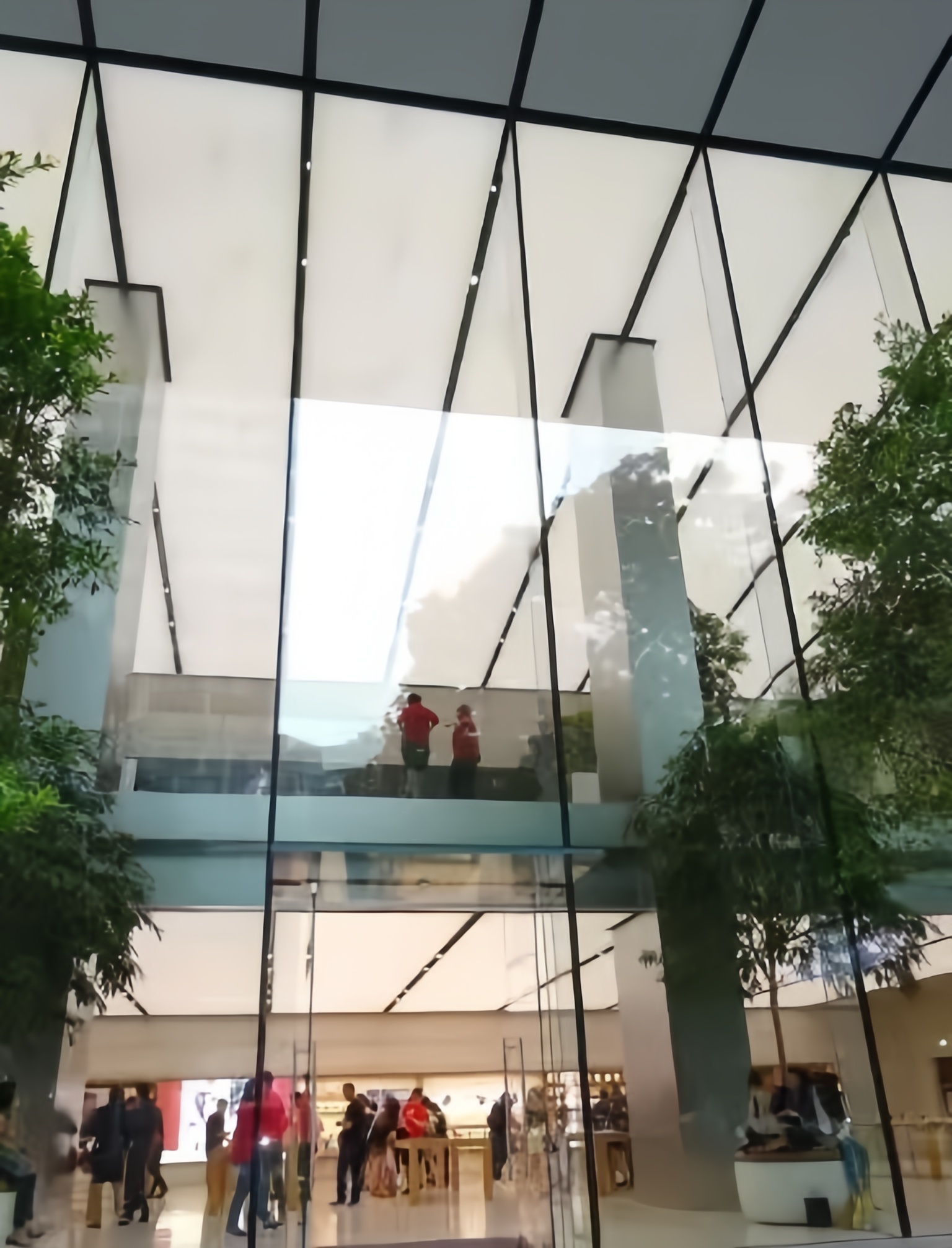 Jumbo Size Low Iron Float Glass